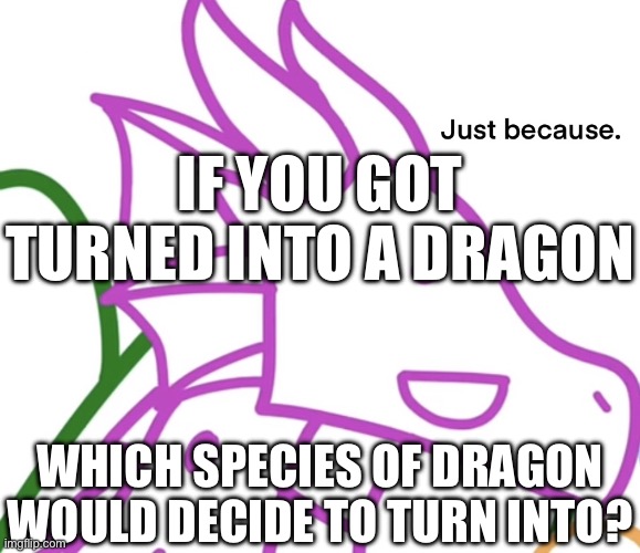 Don’t mind the temp, found it when searching through other templates on imgflip | IF YOU GOT TURNED INTO A DRAGON; WHICH SPECIES OF DRAGON WOULD DECIDE TO TURN INTO? | image tagged in just because meme wof edition | made w/ Imgflip meme maker