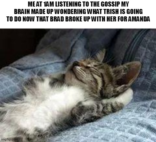 sometimes your brain makes up a tv show | ME AT 1AM LISTENING TO THE GOSSIP MY BRAIN MADE UP WONDERING WHAT TRISH IS GOING TO DO NOW THAT BRAD BROKE UP WITH HER FOR AMANDA | image tagged in the chillin kitten,tv show,brain,1 am | made w/ Imgflip meme maker