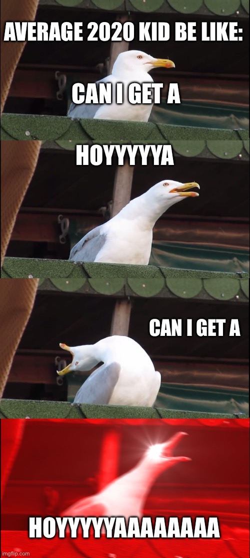 CAN I GET A *inhale* HOYYYAAAAAAAAA | AVERAGE 2020 KID BE LIKE:; CAN I GET A; HOYYYYYA; CAN I GET A; HOYYYYYAAAAAAAA | image tagged in memes,inhaling seagull | made w/ Imgflip meme maker