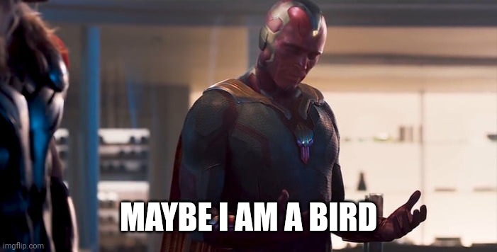 Vision maybe I am a monster blank | MAYBE I AM A BIRD | image tagged in vision maybe i am a monster blank | made w/ Imgflip meme maker