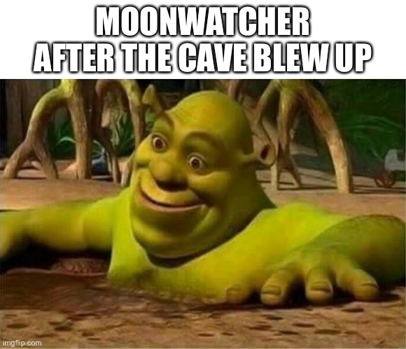 Cave explosion | MOONWATCHER AFTER THE CAVE BLEW UP | image tagged in shrek,wings of fire,wof,dragons,books | made w/ Imgflip meme maker