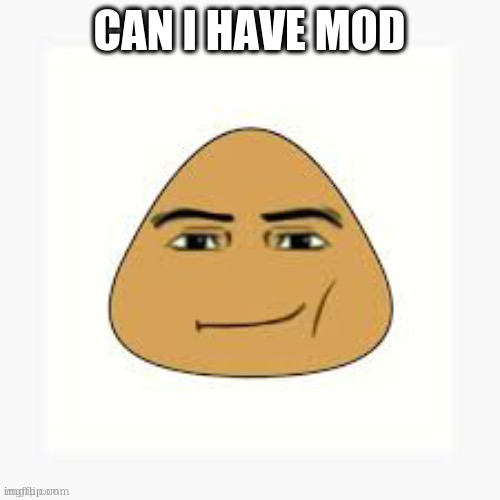 pou man face | CAN I HAVE MOD | image tagged in pou man face | made w/ Imgflip meme maker