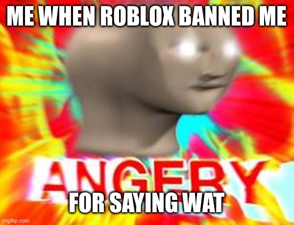 Unfortunately it’s true | ME WHEN ROBLOX BANNED ME; FOR SAYING WAT | image tagged in surreal angery,banned from roblox | made w/ Imgflip meme maker