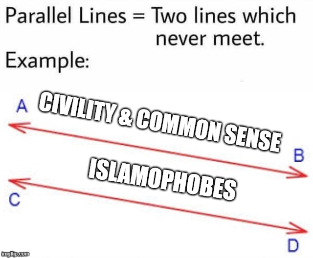 Parallel Lines | CIVILITY & COMMON SENSE; ISLAMOPHOBES | image tagged in parallel lines,civilized discussion,common sense,islamophobia | made w/ Imgflip meme maker