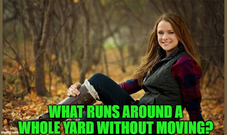 WHAT RUNS AROUND A WHOLE YARD WITHOUT MOVING? | image tagged in riddle | made w/ Imgflip meme maker