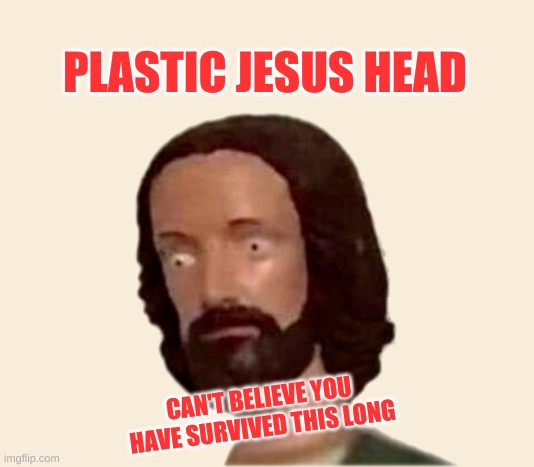 Plastic Jesus Head |  PLASTIC JESUS HEAD; CAN'T BELIEVE YOU HAVE SURVIVED THIS LONG | image tagged in plastic jesus head,weed jesus,how did this happen,buddy christ,survival,that face you make when | made w/ Imgflip meme maker