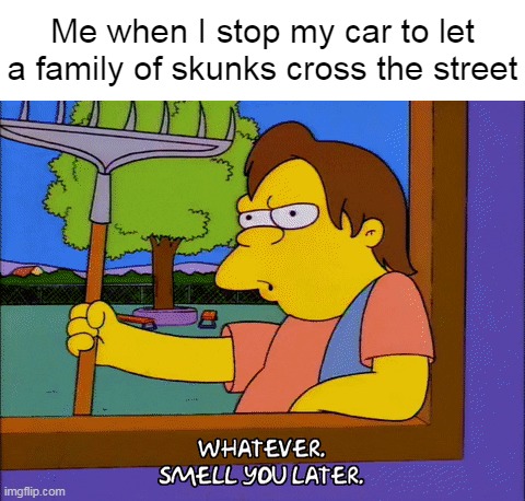 Me when I stop my car to let a family of skunks cross the street | image tagged in meme,memes,humor,funny | made w/ Imgflip meme maker