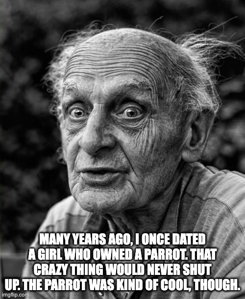 Cool | MANY YEARS AGO, I ONCE DATED A GIRL WHO OWNED A PARROT. THAT CRAZY THING WOULD NEVER SHUT UP. THE PARROT WAS KIND OF COOL, THOUGH. | image tagged in old man | made w/ Imgflip meme maker