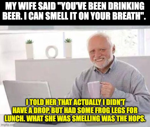 Beer | MY WIFE SAID "YOU'VE BEEN DRINKING BEER. I CAN SMELL IT ON YOUR BREATH". I TOLD HER THAT ACTUALLY I DIDN'T HAVE A DROP, BUT HAD SOME FROG LEGS FOR LUNCH. WHAT SHE WAS SMELLING WAS THE HOPS. | image tagged in harold | made w/ Imgflip meme maker