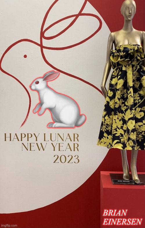 Year of the Rabbit | 🐇; BRIAN EINERSEN | image tagged in fashion,kika vargas,saks fifth avenue,happy lunar new year,emooji art,brian einersen | made w/ Imgflip meme maker