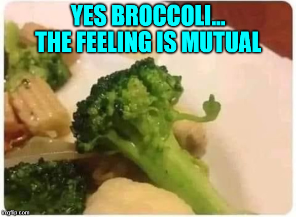 Nobody likes you... | YES BROCCOLI... THE FEELING IS MUTUAL | image tagged in hate,broccoli | made w/ Imgflip meme maker