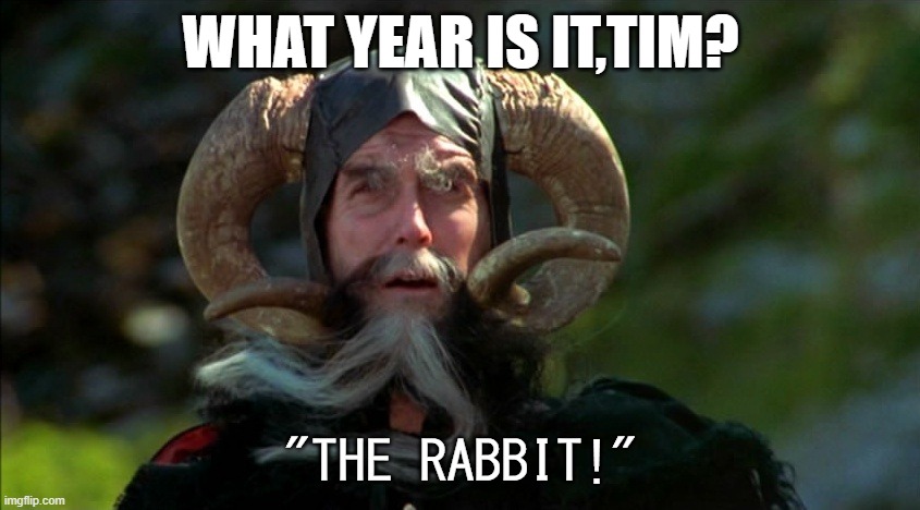 The rabbit | WHAT YEAR IS IT,TIM? "THE RABBIT!" | image tagged in tim the enchanter,monty python,tim | made w/ Imgflip meme maker