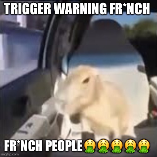 Ok I pull up capybara | TRIGGER WARNING FR*NCH; FR*NCH PEOPLE🤮🤮🤮🤮🤮 | image tagged in ok i pull up capybara | made w/ Imgflip meme maker