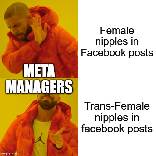 Drake Hotline Bling | Female nipples in Facebook posts; META MANAGERS; Trans-Female nipples in facebook posts | image tagged in memes,drake hotline bling | made w/ Imgflip meme maker