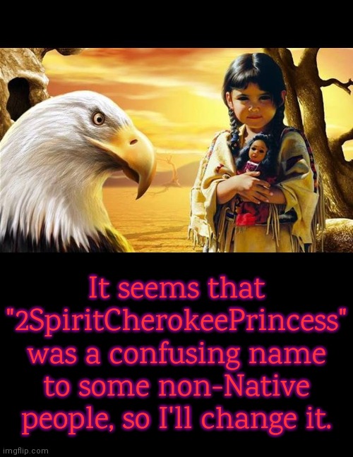 Does "Alaska Native Manitou" sound more mature? | It seems that "2SpiritCherokeePrincess"
was a confusing name to some non-Native people, so I'll change it. | image tagged in native american,username,upgrade,it's time to start asking yourself the big questions meme,identity | made w/ Imgflip meme maker