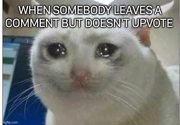 crying cat | WHEN SOMEBODY LEAVES A COMMENT BUT DOESN'T UPVOTE | image tagged in crying cat | made w/ Imgflip meme maker