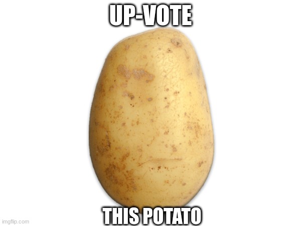 HOLY POTATO | UP-VOTE; THIS POTATO | image tagged in potato | made w/ Imgflip meme maker