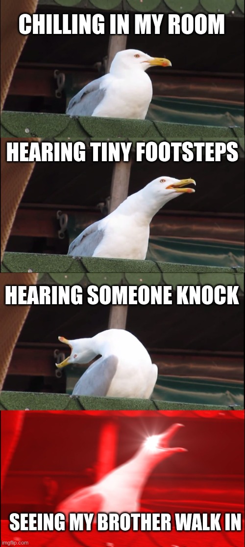Inhaling Seagull | CHILLING IN MY ROOM; HEARING TINY FOOTSTEPS; HEARING SOMEONE KNOCK; SEEING MY BROTHER WALK IN | image tagged in memes,inhaling seagull | made w/ Imgflip meme maker