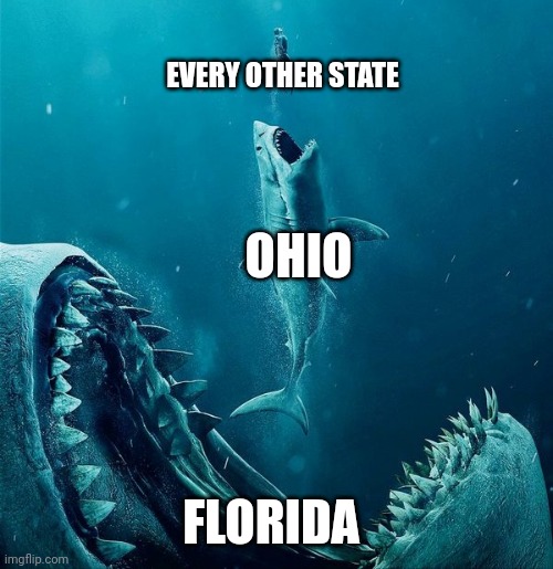 Florida sucks | EVERY OTHER STATE; OHIO; FLORIDA | image tagged in always a bigger shark,ohio,ohio state,florida | made w/ Imgflip meme maker