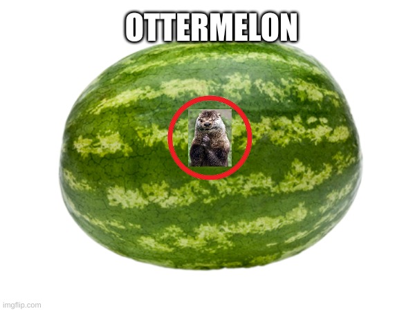 OtterMelon | OTTERMELON | image tagged in watermelon,otters | made w/ Imgflip meme maker