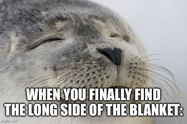 Satisfied Seal | WHEN YOU FINALLY FIND THE LONG SIDE OF THE BLANKET: | image tagged in memes,satisfied seal | made w/ Imgflip meme maker