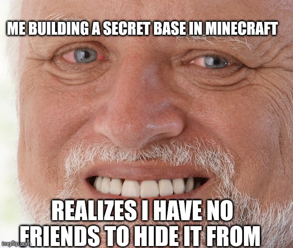 Pain | ME BUILDING A SECRET BASE IN MINECRAFT; REALIZES I HAVE NO FRIENDS TO HIDE IT FROM | image tagged in hide the pain harold | made w/ Imgflip meme maker