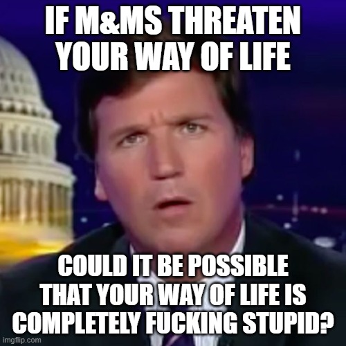 Confused Tucker Carlson | IF M&MS THREATEN YOUR WAY OF LIFE; COULD IT BE POSSIBLE THAT YOUR WAY OF LIFE IS COMPLETELY FUCKING STUPID? | image tagged in confused tucker carlson | made w/ Imgflip meme maker