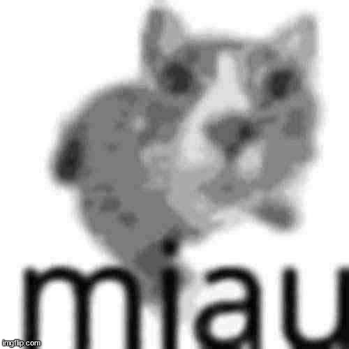 miau | image tagged in miau | made w/ Imgflip meme maker