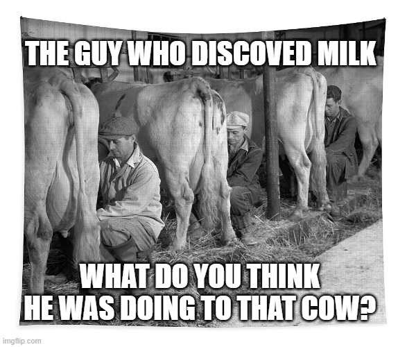 Milking a cow | THE GUY WHO DISCOVED MILK; WHAT DO YOU THINK HE WAS DOING TO THAT COW? | image tagged in funny,funny memes,cows | made w/ Imgflip meme maker