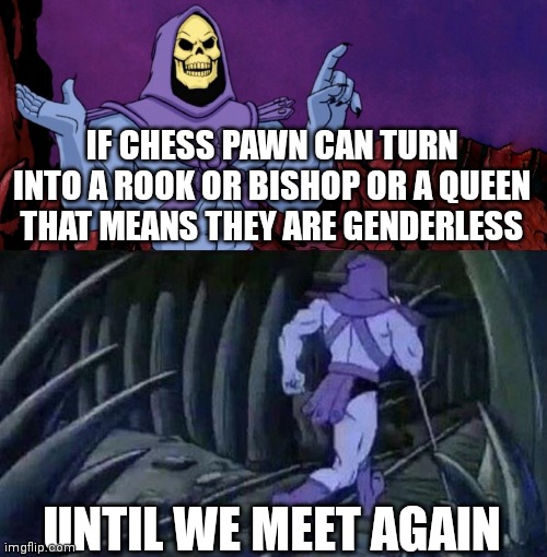 Chess meme | IF CHESS PAWN CAN TURN INTO A ROOK OR BISHOP OR A QUEEN THAT MEANS THEY ARE GENDERLESS; UNTIL WE MEET AGAIN | image tagged in he man skeleton advices,chess | made w/ Imgflip meme maker