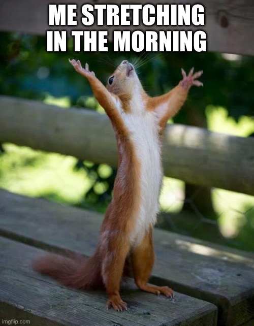 I just woke up | ME STRETCHING IN THE MORNING | image tagged in happy squirrel | made w/ Imgflip meme maker