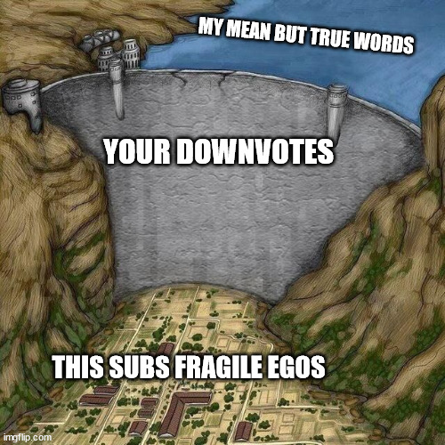 Water Dam Meme | MY MEAN BUT TRUE WORDS; YOUR DOWNVOTES; THIS SUBS FRAGILE EGOS | image tagged in water dam meme | made w/ Imgflip meme maker