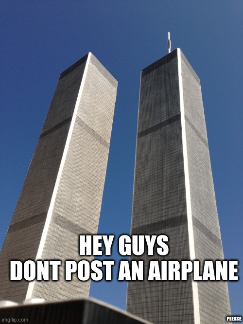 Twin Towers | HEY GUYS
DONT POST AN AIRPLANE; PLEASE | image tagged in twin towers | made w/ Imgflip meme maker