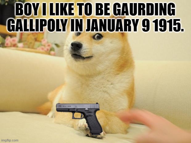 Doge 2 Meme | BOY I LIKE TO BE GAURDING GALLIPOLY IN JANUARY 9 1915. | image tagged in memes,doge 2 | made w/ Imgflip meme maker