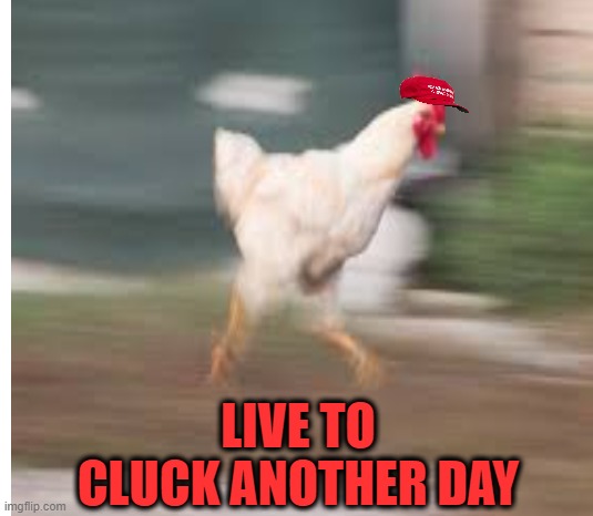 LIVE TO CLUCK ANOTHER DAY | made w/ Imgflip meme maker