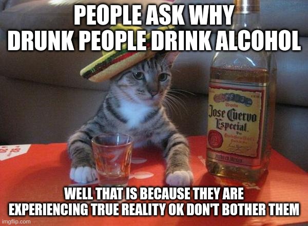 alcohol cat | PEOPLE ASK WHY DRUNK PEOPLE DRINK ALCOHOL; WELL THAT IS BECAUSE THEY ARE EXPERIENCING TRUE REALITY OK DON'T BOTHER THEM | image tagged in alcohol cat | made w/ Imgflip meme maker