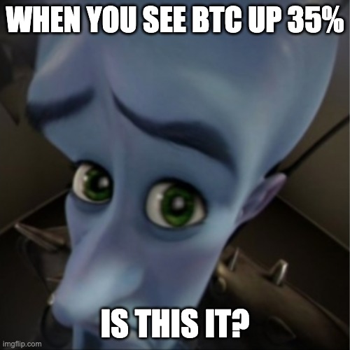 BTC Bull Run? | WHEN YOU SEE BTC UP 35%; IS THIS IT? | image tagged in megamind peeking | made w/ Imgflip meme maker