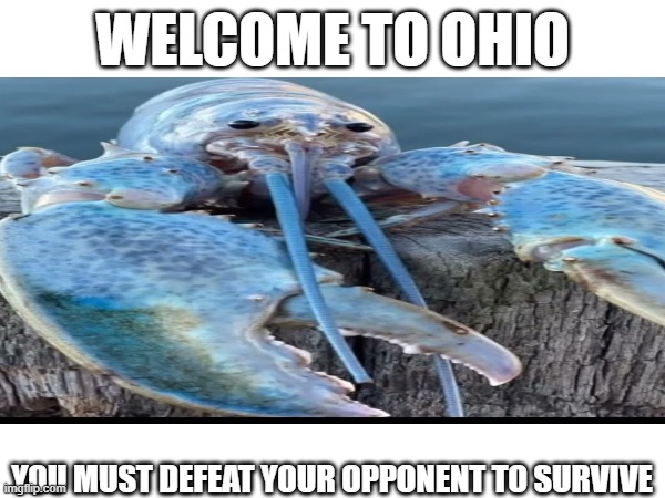 Defeat your opponent | WELCOME TO OHIO; YOU MUST DEFEAT YOUR OPPONENT TO SURVIVE | image tagged in lobster | made w/ Imgflip meme maker