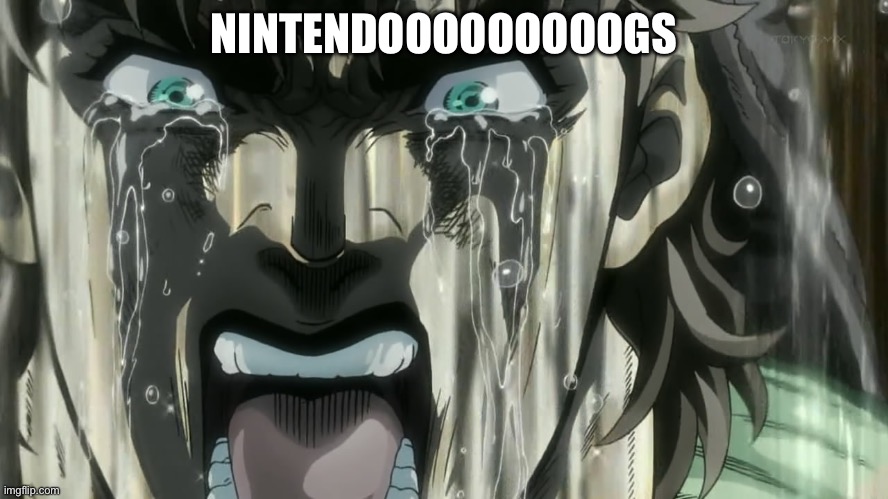 SHIZA!!!!!!!!!!!! | NINTENDOOOOOOOOOGS | image tagged in shiza | made w/ Imgflip meme maker