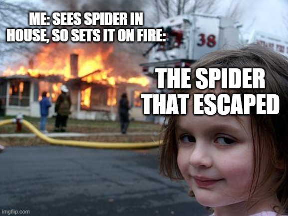 Disaster Girl Meme | ME: SEES SPIDER IN HOUSE, SO SETS IT ON FIRE:; THE SPIDER THAT ESCAPED | image tagged in memes,disaster girl | made w/ Imgflip meme maker