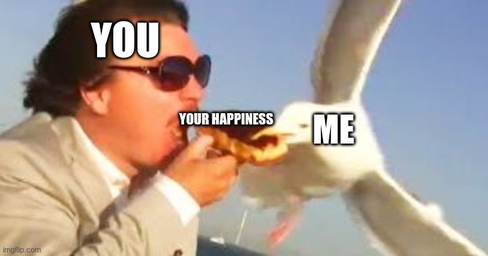 swiping seagull | YOU YOUR HAPPINESS ME | image tagged in swiping seagull | made w/ Imgflip meme maker