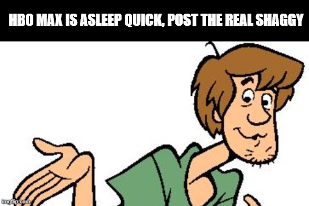 HBO MAX IS ASLEEP QUICK, POST THE REAL SHAGGY | made w/ Imgflip meme maker