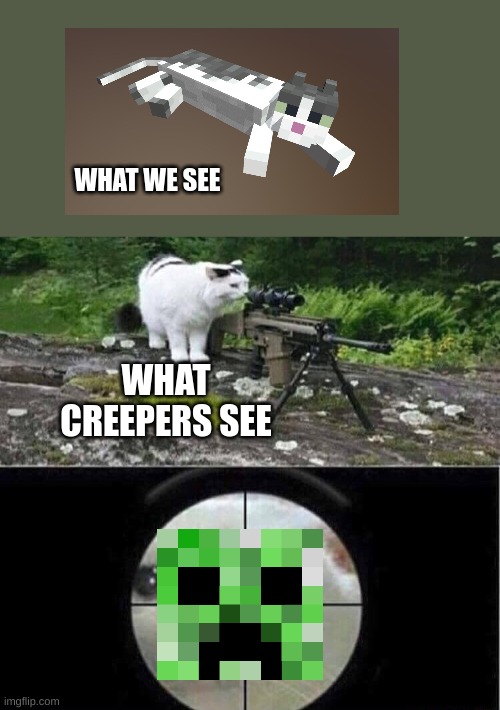 Sniper cat | WHAT WE SEE; WHAT CREEPERS SEE | image tagged in sniper cat | made w/ Imgflip meme maker