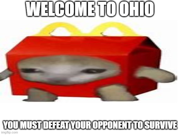 Defeat your oppnent P.2 | WELCOME TO OHIO; YOU MUST DEFEAT YOUR OPPONENT TO SURVIVE | image tagged in omg | made w/ Imgflip meme maker