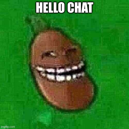 troll coffee bean | HELLO CHAT | image tagged in troll coffee bean | made w/ Imgflip meme maker