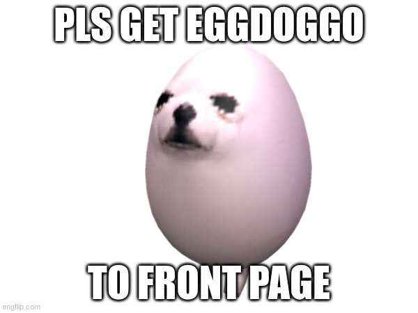 eggdoggo | PLS GET EGGDOGGO; TO FRONT PAGE | image tagged in egg,dog,eggdog | made w/ Imgflip meme maker