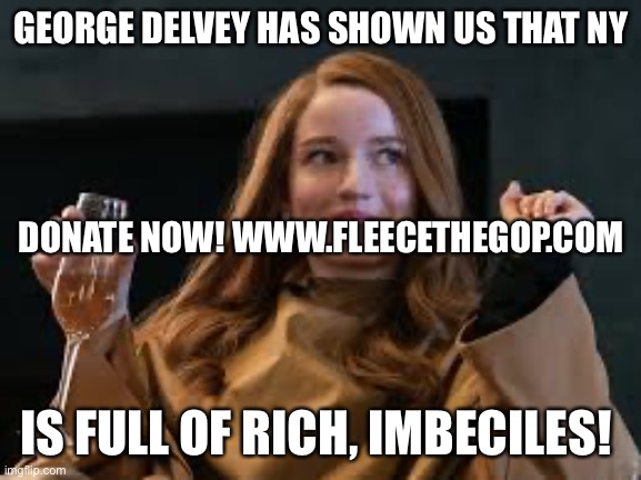 George Delvey | GEORGE DELVEY HAS SHOWN US THAT NY; DONATE NOW! WWW.FLEECETHEGOP.COM; IS FULL OF RICH, IMBECILES! | image tagged in anna delvey poor | made w/ Imgflip meme maker