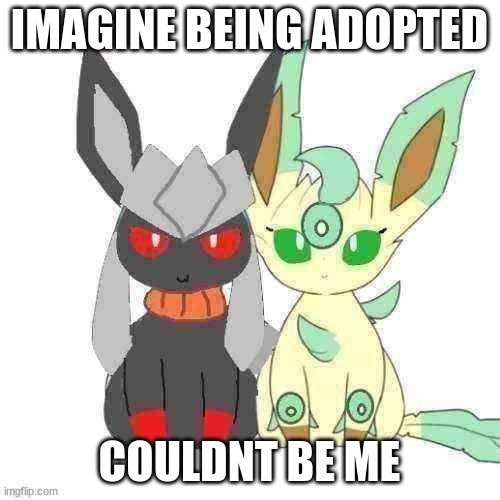 Redceon And Leafe by Sylceon | IMAGINE BEING ADOPTED COULDNT BE ME | image tagged in redceon and leafe by sylceon | made w/ Imgflip meme maker