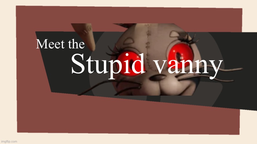 Meet the <Blank> | Meet the Stupid vanny | image tagged in meet the blank | made w/ Imgflip meme maker