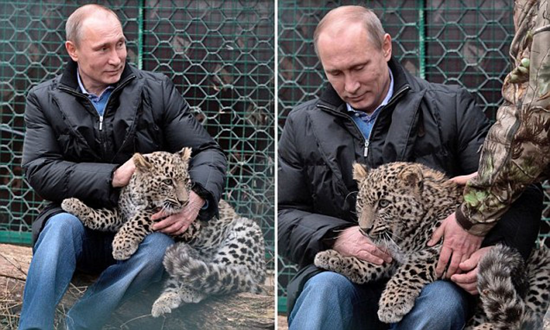 putin leopard 2 Blank Meme Template